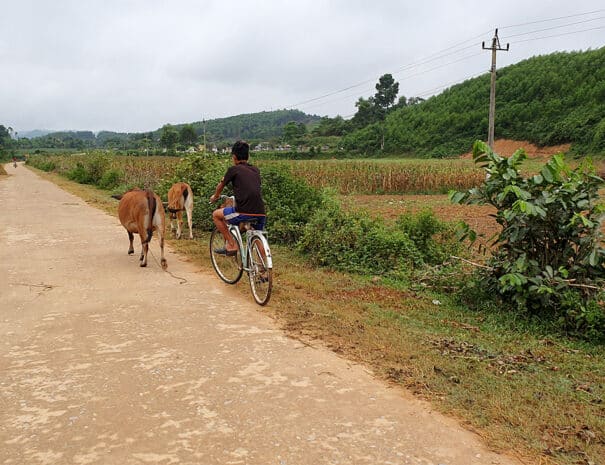 bong-lai-village-landevej-cykel-ko