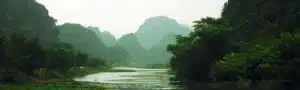 da hollywood kom til vietnam banner