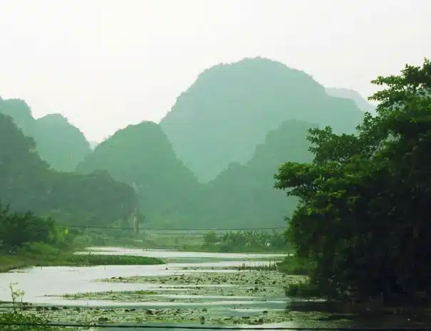da hollywood kom til vietnam banner