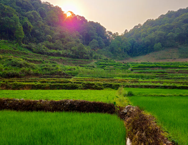 dien-bien-phu-risterasser