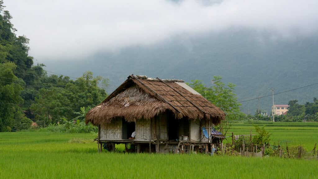 Mai Chau - En lille hytte omgivet af rismarker