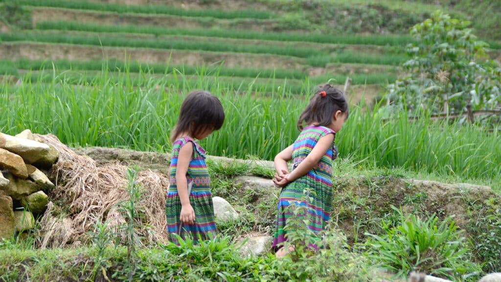 pakkerejse-klassiske-vietnam-sapa-rismarker-boern-som-leger