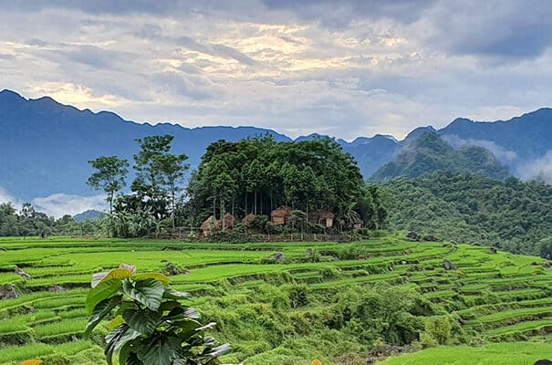 Pù Luông Nature Reserve