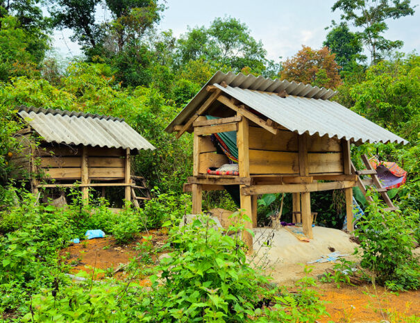 tua-chua-dien-bien-trekking-gravsted