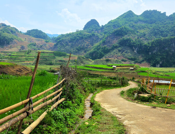 tua-chua-dien-bien-trekking-rismarker-dal